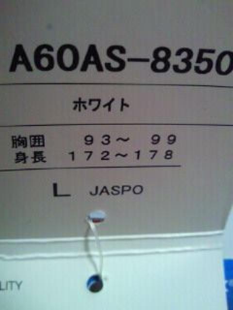 mizuno ミズノ オリンピック 日本代表 ベスト ジャンパー ホワイト Lサイズ < 男性ファッション  mizuno ミズノ オリンピック 日本代表 ベスト ジャンパー ホワイト Lサイズ < 男性ファッションの