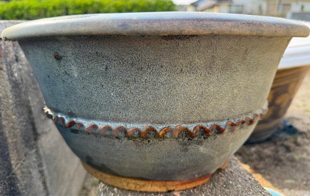 【中国古盆器】 海鼠釉外縁丸鉢33p 青灰色 陶器製 丸型 植木鉢 盆栽蜂 < ペット/手芸/園芸  【中国古盆器】 海鼠釉外縁丸鉢33p 青灰色 陶器製 丸型 植木鉢 盆栽蜂 < ペット/手芸/園芸の