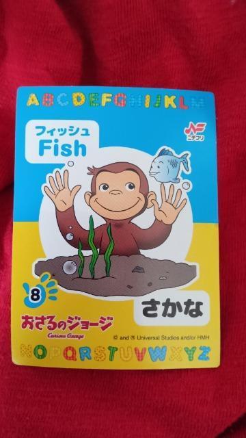 ̃W[WV[   Aj/R~bN/LN^[ 