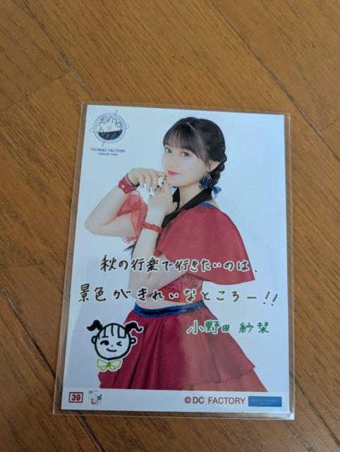 �΂��t�@�N�g���[�@����c�ўx�@�u���}�C�h�@�V�i  �� �^�����g�O�b�Y�� 