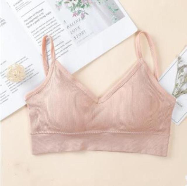 m[C[ KɂIpbht u L~\[sN  t@bV 