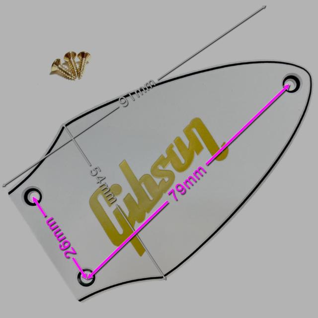 Gibson Flying V �g���X���b�h�J�o�[�� �S�[���h����3�v���C �� �z�r�[�� 