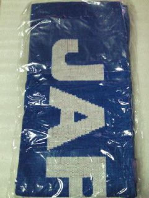 サッカー ドイツ FIFA ワールドカップ 限定 日本 デザイン マフラー ブルー < 男性ファッション  サッカー ドイツ FIFA ワールドカップ 限定 日本 デザイン マフラー ブルー < 男性ファッションの