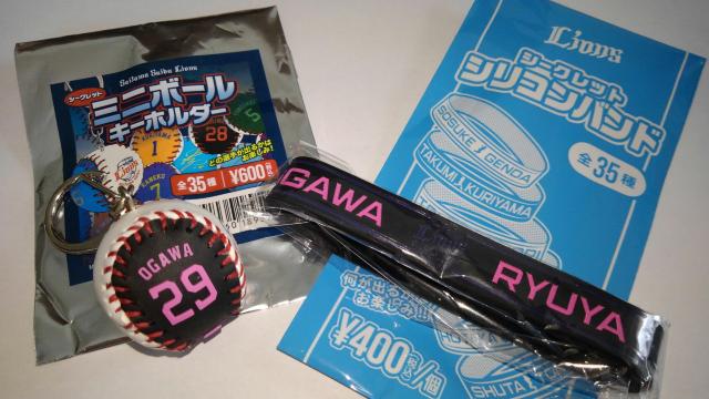 ʐCIY2021 VRoh ~j{[L[z_[ 29 열瓊   W[/X|[c 