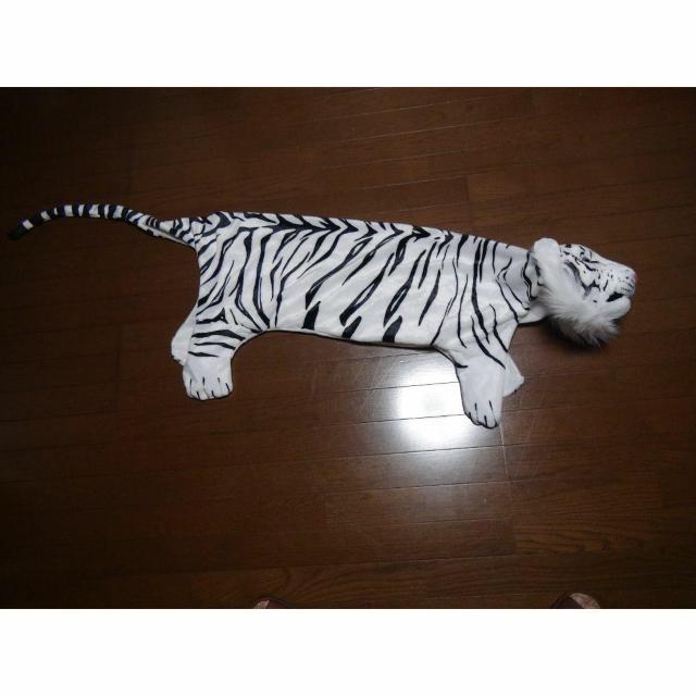 REA TIGER MAT A zCg^CK| }bg Vi^Ot !B   