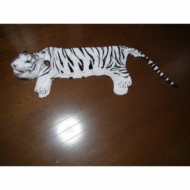 REA TIGER MAT A zCg^CK| }bg Vi^Ot !B   