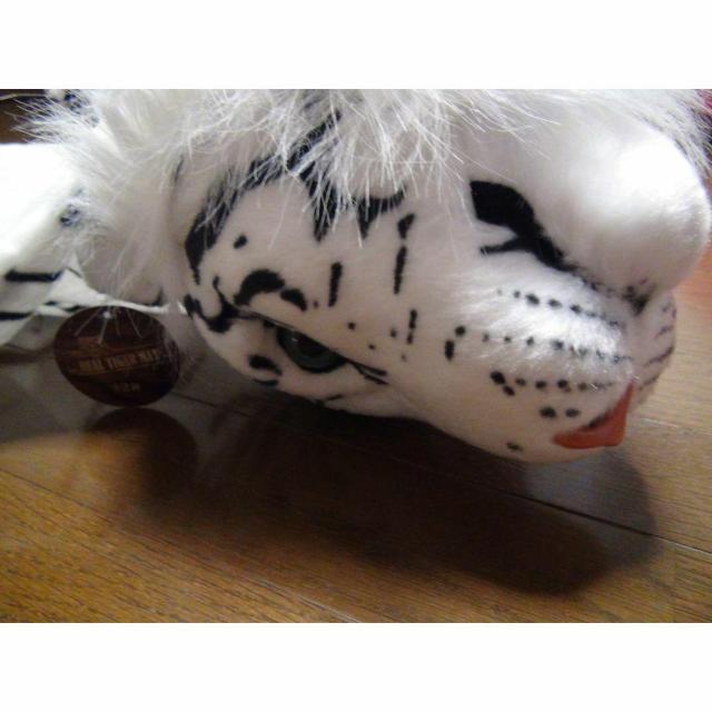 REA TIGER MAT A zCg^CK| }bg Vi^Ot !B   