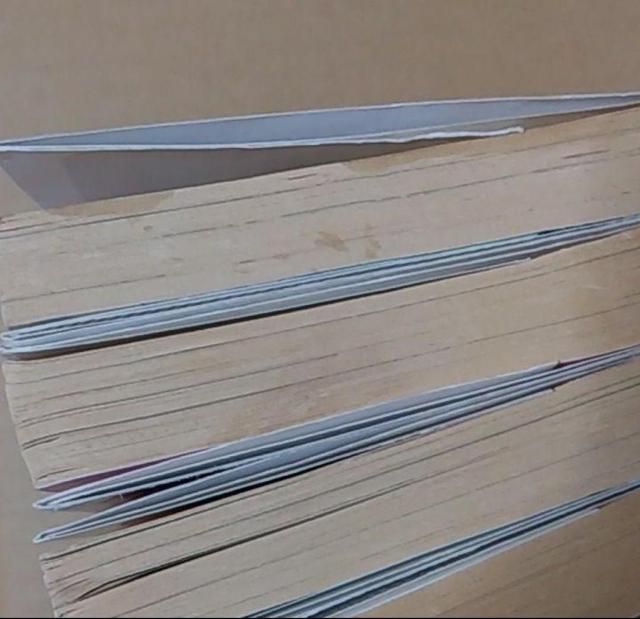 ���ɖ{ �n���`�@5�`8���@�܂Ƃ߂� �c���F���@CLAMP �� �{/�G���� 