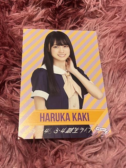 賀喜遥香ポストカード < タレントグッズ  賀喜遥香ポストカード  < タレントグッズの