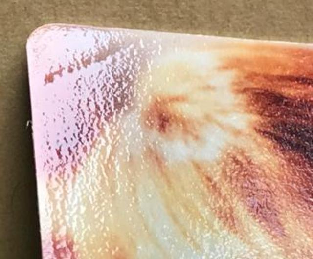 EZARD@򐅁@uezJ[hv  ^gObY 