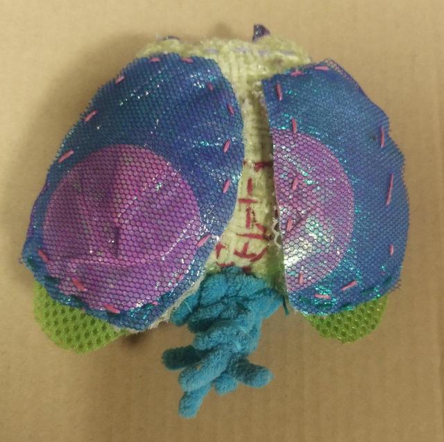 nhCh@̂ЂTCY@XZ~Ɏ̂ʂ   LbY/xr[ 