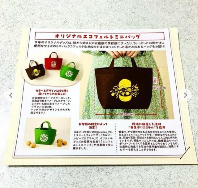 カルビー★エコフェルトミニバッグ 赤★トートバッグ★懸賞 当選品 非売品 2024年 < 女性ファッション  カルビー★エコフェルトミニバッグ 赤★トートバッグ★懸賞 当選品 非売品 2024年 < 女性ファッションの