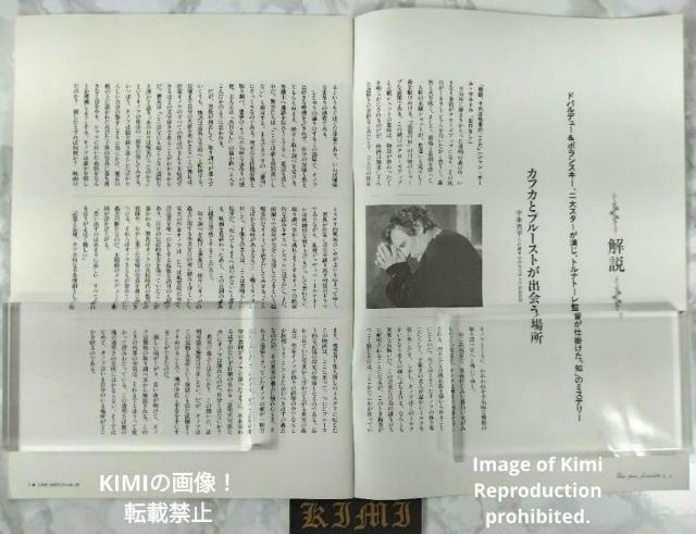 UNE PURE FORMALITE 記憶の扉 映画 パンフレット 本 1994 ジェラール ドパルデュー A Pure Form < ホビー UNE PURE FORMALITE 記憶の扉 映画 パンフレット 本 1994 ジェラール ドパルデュー A Pure Form < ホビーの