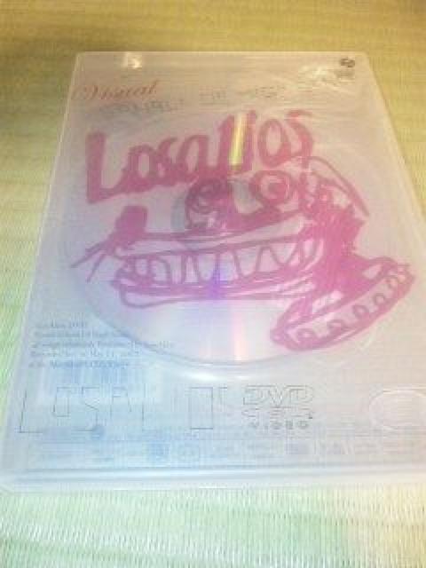 DVD,Losalios(B)Visual Schoolof High Sense   ^gObY 