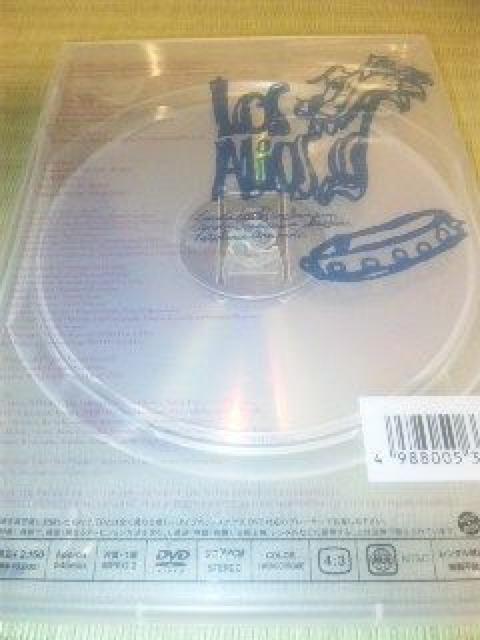 DVD,Losalios(B)Visual Schoolof High Sense  ^gObY 