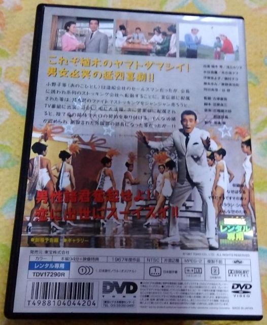 nana56b-d-.[{̒j̒̒j]DVD Aؓ uq ؂̎ii ` c    J[ l  CD/DVD/rfI 