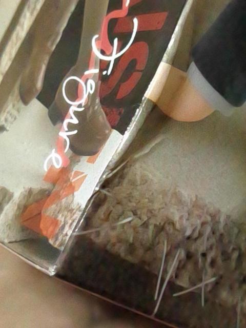 p큡ʁ[ǂXgbp[tBMA-BKN-  Aj/R~bN/LN^[ 