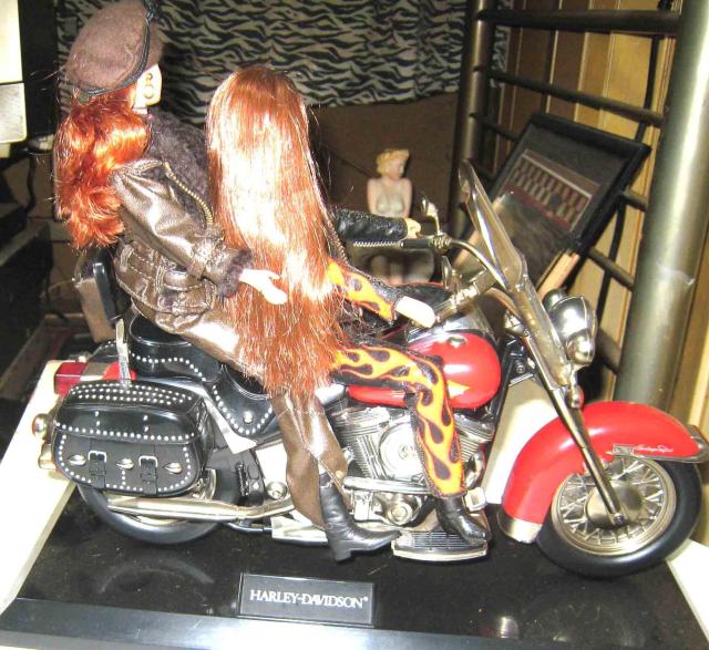 �n�[���[�_�r�b�h�\���E�o�[�r�[�@���@�n�[���[�_�r�b�h�\���E�o�C�N�E�t�B�M���A �� �z�r�[�� 