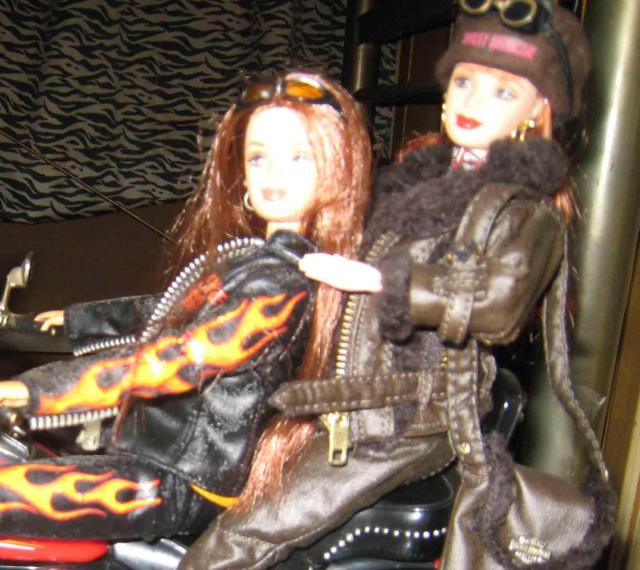 �n�[���[�_�r�b�h�\���E�o�[�r�[�@���@�n�[���[�_�r�b�h�\���E�o�C�N�E�t�B�M���A �� �z�r�[�� 