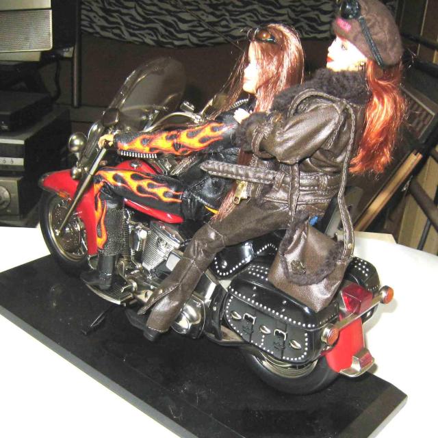 �n�[���[�_�r�b�h�\���E�o�[�r�[�@���@�n�[���[�_�r�b�h�\���E�o�C�N�E�t�B�M���A �� �z�r�[�� 