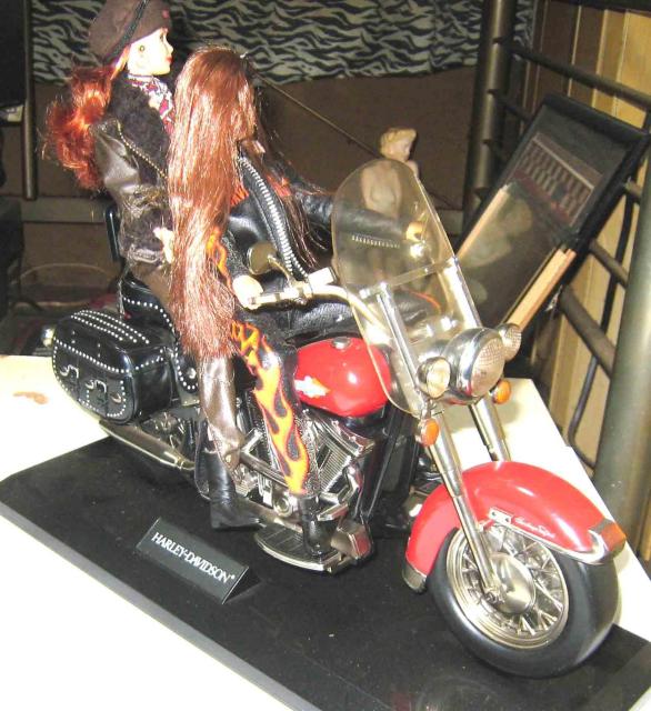 �n�[���[�_�r�b�h�\���E�o�[�r�[�@���@�n�[���[�_�r�b�h�\���E�o�C�N�E�t�B�M���A �� �z�r�[�� 