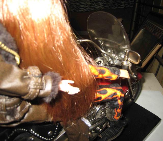 �n�[���[�_�r�b�h�\���E�o�[�r�[�@���@�n�[���[�_�r�b�h�\���E�o�C�N�E�t�B�M���A �� �z�r�[�� 