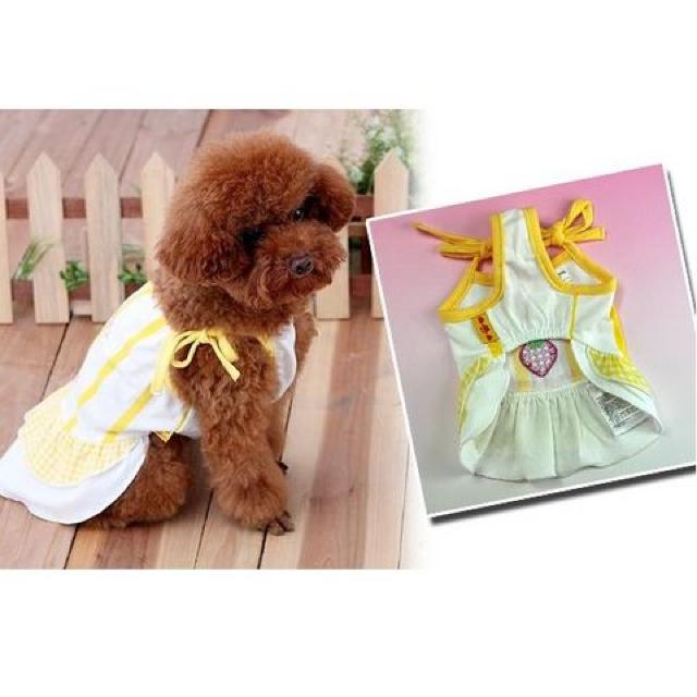 大人気!!いちごワンピース5号 (2L) イエロー★新品 〜8kg位 < ペット/手芸/園芸  大人気!!いちごワンピース5号 (2L) イエロー★新品 〜8kg位 < ペット/手芸/園芸の