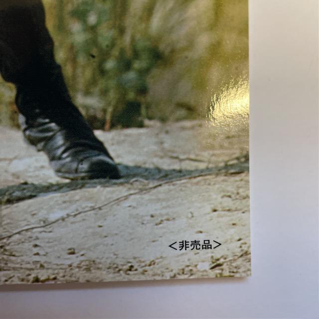 非売品・スカイライダープロマイド < アニメ/コミック/キャラクター  非売品・スカイライダープロマイド < アニメ/コミック/キャラクターの