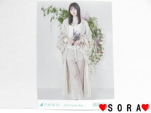 【乃木坂46/遠藤さくら】2022年 Lucky Bag ラッキーバッグ福袋♪生写真 < タレントグッズ  【乃木坂46/遠藤さくら】2022年 Lucky Bag ラッキーバッグ福袋♪生写真  < タレントグッズの
