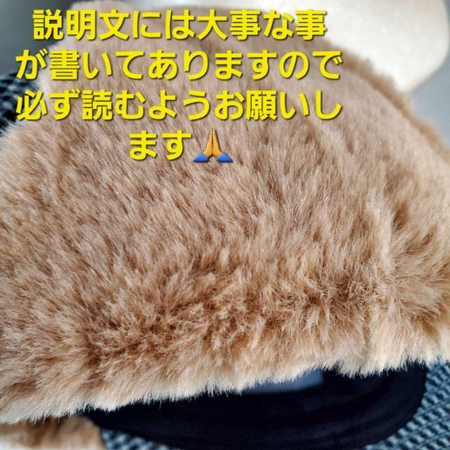 ݁gt@[ĕt/tCg/pCbgLbv