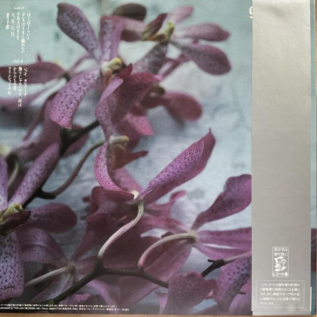 z / 9.5Jbg  CD/DVD/rfI 