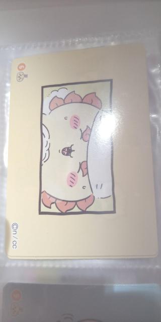 ��������V�[���J�[�h3  �� �A�j��/�R�~�b�N/�L�����N�^�[�� 