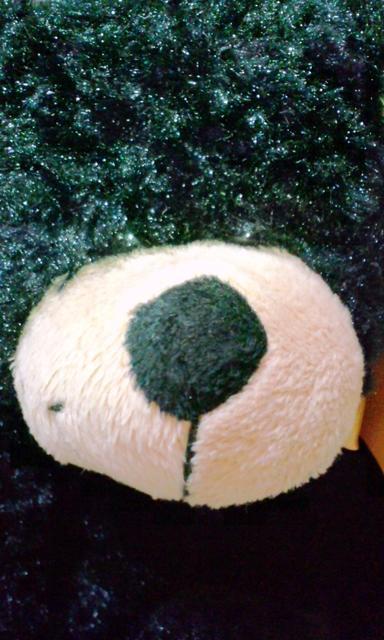 BEARHUGS�e�f�B�x�A�ӂ�ӂ�N�}����