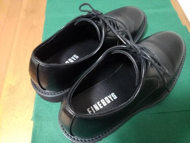 t@C{[CYFINE BOYSɔiyʃtH[}ErWlXV[YubN25pC  jt@bV 