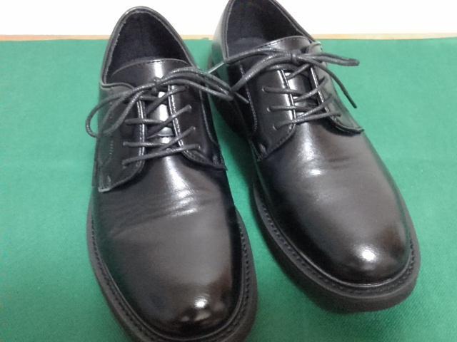 t@C{[CYFINE BOYSɔiyʃtH[}ErWlXV[YubN25pC  jt@bV 