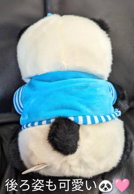 ゆうパック送料無料ご変更させて頂きました/LONGBO/本場中国土産/パンダ/ぬいぐるみ/約20cm/フワフワ/可愛い < おもちゃ  ゆうパック送料無料ご変更させて頂きました/LONGBO/本場中国土産/パンダ/ぬいぐるみ/約20cm/フワフワ/可愛い < おもちゃの