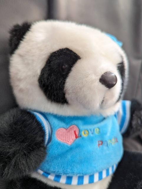 ゆうパック送料無料ご変更させて頂きました/LONGBO/本場中国土産/パンダ/ぬいぐるみ/約20cm/フワフワ/可愛い < おもちゃ  ゆうパック送料無料ご変更させて頂きました/LONGBO/本場中国土産/パンダ/ぬいぐるみ/約20cm/フワフワ/可愛い < おもちゃの