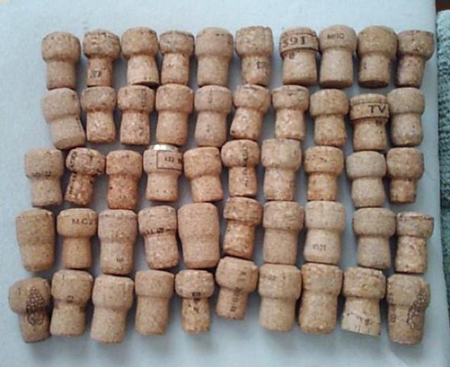 ̃VpEXp[NOC̃RN50   ybg/|/| 