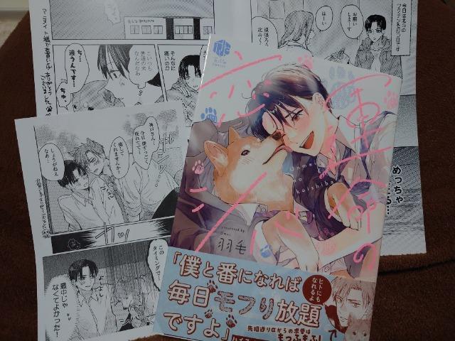 BL[tbgty^̗VozH   Aj/R~bN/LN^[ 