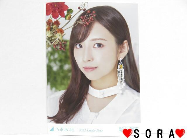 【乃木坂46/新内眞衣】2022年 Lucky Bag ラッキーバッグ福袋♪生写真 < タレントグッズ  【乃木坂46/新内眞衣】2022年 Lucky Bag ラッキーバッグ福袋♪生写真  < タレントグッズの