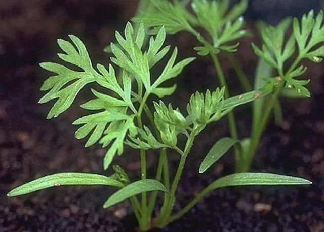 藦̗ǂAlQ̎300{G߂̎{Iׂeiv[gBS̑Sł_(^o^)^  ybg/|/| 