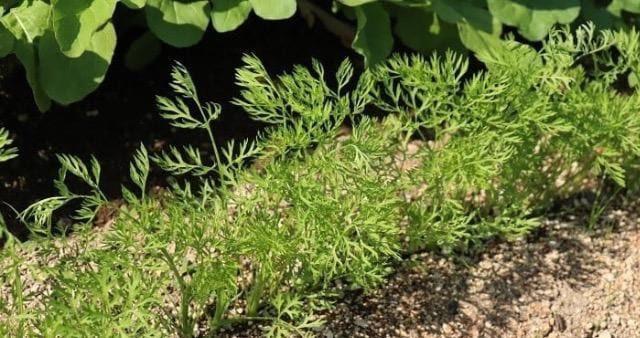 藦̗ǂAlQ̎300{G߂̎{Iׂeiv[gBS̑Sł_(^o^)^  ybg/|/| 