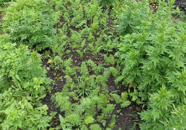 藦̗ǂAlQ̎300{G߂̎{Iׂeiv[gBS̑Sł_(^o^)^  ybg/|/| 