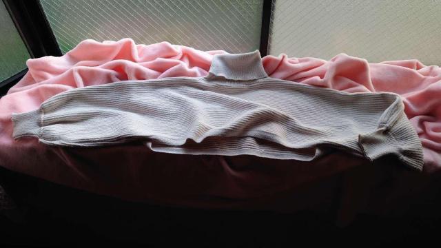 �j�b�g�A�b�v*�Z�b�g�A�b�v��N���b�v�h�}�C�N���~�j��^�[�g���ւ��o���ۂ�񑳃��u�j�b�g�~���X���b�g�X�L�b�p�[���u�j�b�g���C�h�p���c �� �����t�@�b�V������ 