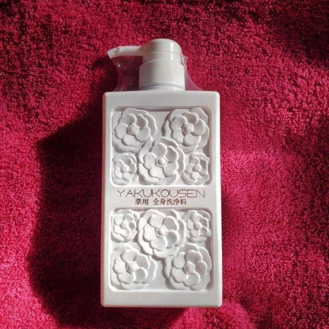 ��y��@��p�S�g��򗿁@������S�g�܂Ŏg����@�����[�����[���[�@�{�f�B�\�[�v  �� �C���e���A/���C�t�� 