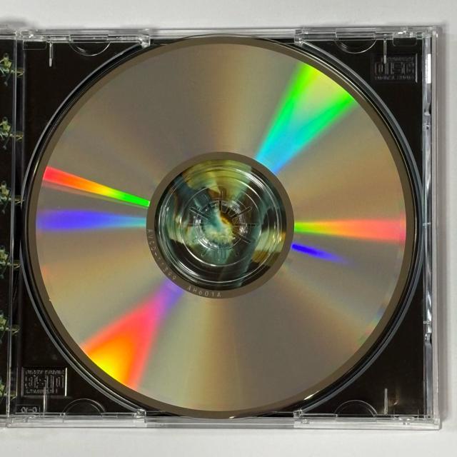 n-trance / electronic pleasure < CD/DVD/ビデオ n-trance / electronic pleasure < CD/DVD/ビデオの