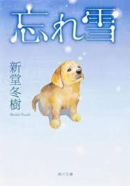 �Y��� �V���~�� �p�앶�� ���� ���ɖ{ �����̌����� �y�b�g�Ƃ��J  �� �{/�G���� 