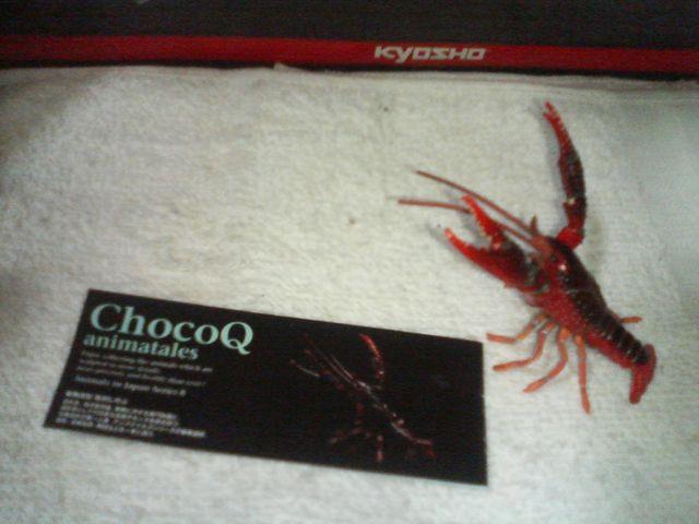 チョコQ アニマルズ8  アメリカザリガニ < ホビー  チョコQ アニマルズ8  アメリカザリガニ  < ホビーの