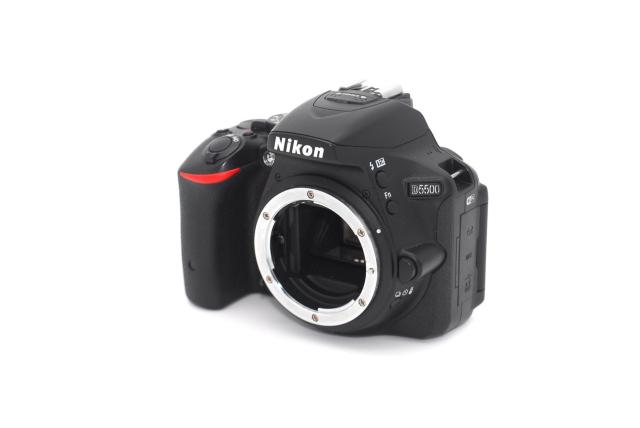 Wi-Fi@\ڂŃNN]Nikon D5500 {fB  Ɠd/AV 