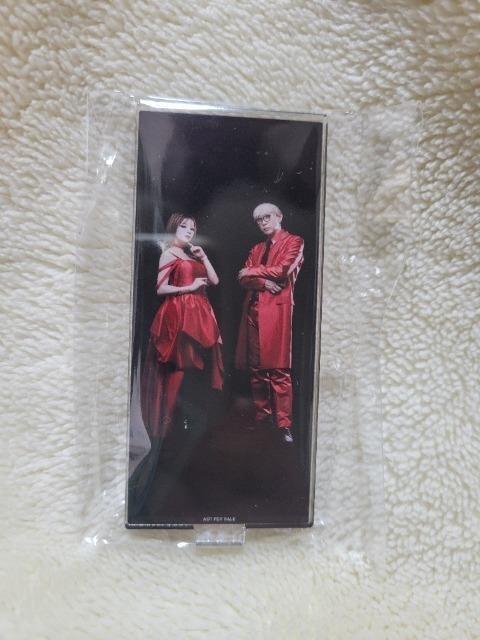 【セブンネット限定特典】GARNiDELiA アクリルスタンド 数量限定 < タレントグッズ 【セブンネット限定特典】GARNiDELiA アクリルスタンド 数量限定 < タレントグッズの